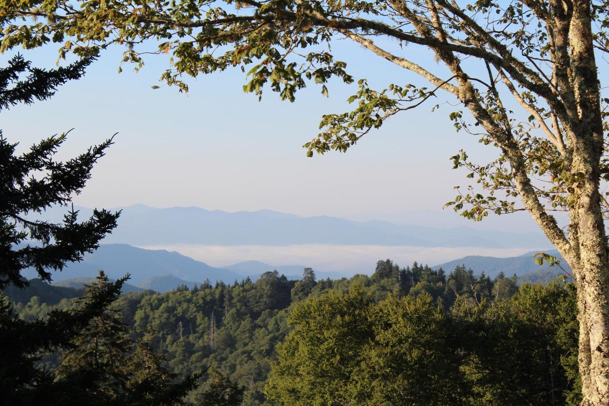 Stairway To Heaven, Breathtaking Mtn Views Indoor Pool & Hot Tub Apartment Gatlinburg Exterior photo